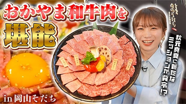 H^ĂR̘aēuRvցIIܘa̔\ĐVȃ~bVIH