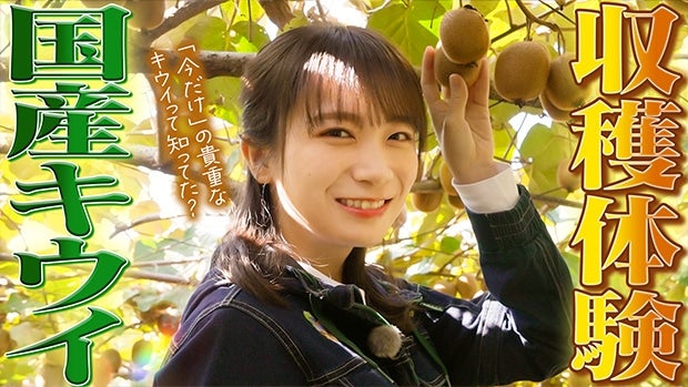 �O�����߂č�����u�I�̕P�L�E�C�t���[�c�v���H���^�Ă����n�̌��I