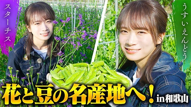 �a�̎R���ւ�u�ԁv�Ɓu����������ǂ��v���H���^�Ă����n��ށI