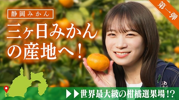 �H���^�Ă��É����ցI�É��݂���u�O�����݂���v�����n�̌��I���E�ő勉�̊��k�I�ʏ�����w�I�y���e�z