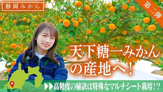 �H���^�Ă��݂���ʂ̕����X��Ö��Ǝ_���̒��a�����Z���Ȗ��킢�̐É��݂���u�V������݂���v�����n�̌��I�y���e�z