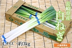茧Y lؔKilMjiJA_j3kg