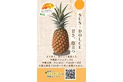 ꌧYTh`FpC Q(LTCY)