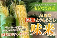 y󂠂oׁz]ʎYXC[gR[20{