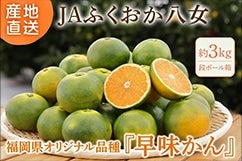 yIWiizi`ӂ@ 3sii{[j@9`10{\