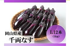 RY 痼Ȃ LPkgi12{jyoחjŒz