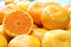 �L�c�݂���̏��i�ꗗ