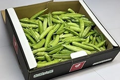 ����������ǂ��@1����