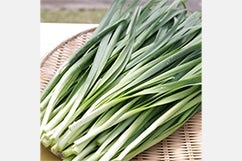 ɂ (4kg/1kg~4) Ȗ، JA݂Y