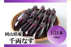 RY 痼Ȃ LQkgi25{jyoחjŒz