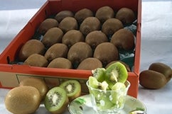 �I�̕P�L�E�C�t���[�c�@��3.6kg:20�ʓ��i�I�̗��j