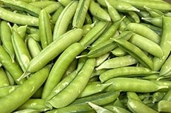 ����������ǂ��@2����