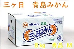 �O�����݂���T�C�_�[�@�i�`�݂����с�N����������