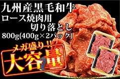 yʌzBYјa(oYa)[Xēp؂藎Ƃ e800g