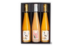 &̓ A\[gZbg 500ml~3{ 21 a̎R 
