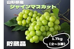 (YAMAGATA}VF)
yʌzuY①VC}XJbg