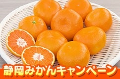 �É��݂���L�����y�[��