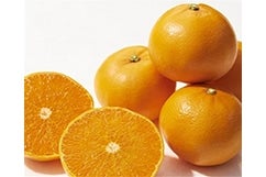 �y�h�r�d�T�O�z�u���Ƃ��v��T�����i�G�r�`�Q�k�j���̂��Ή��s���i�`�������܂΂�@�y�������Ԍ���z2��26���`3��8���̊Ԃɔ����\��