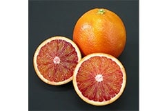 �^���b�R(�u���b�h�I�����W)�����p(L24�ʂ܂���2L20��)