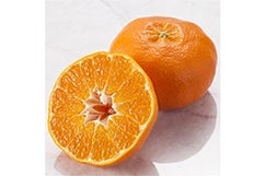 ���Q�̊��k�̏��i�ꗗ