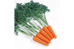 �������Y�t�ɂ񂶂�M�T�C�Y10�s