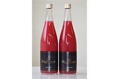 �u���b�h�I�����W�W���[�X�@�Q�{����i�V�Q�O�����~�Q�{�j�i�`���Ђߓ�