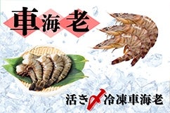 ���Y�Ⓚ�ԊC�V�QP