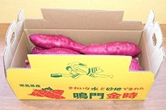 �l�T�C�Y�P���@�z�N�z�N��Ấu�Ȃ�Ƌ����v��3�s�i�������݁j