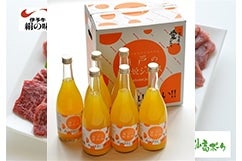 ���˂̐���P�W���[�X�@�i�V�Q�Oml�~�U�{�j�@�i�`�������܂΂�@������������