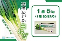 ���Â˂������˂��@�Tkg�~�P���@�i�`�ӂ��ɓ�