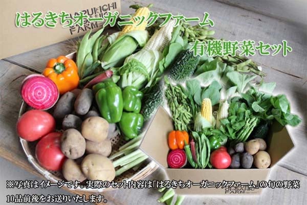 海外並行輸入正規品 旬の有機野菜 Ｌセット オーガニック 有機 野菜セット 国産