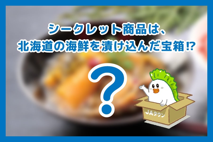 【数量限定】北海道の海鮮グルメ プレミアム福袋B《年内発送・12月3日〜12月26日発送》