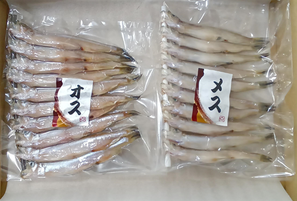 ※配送イメージです