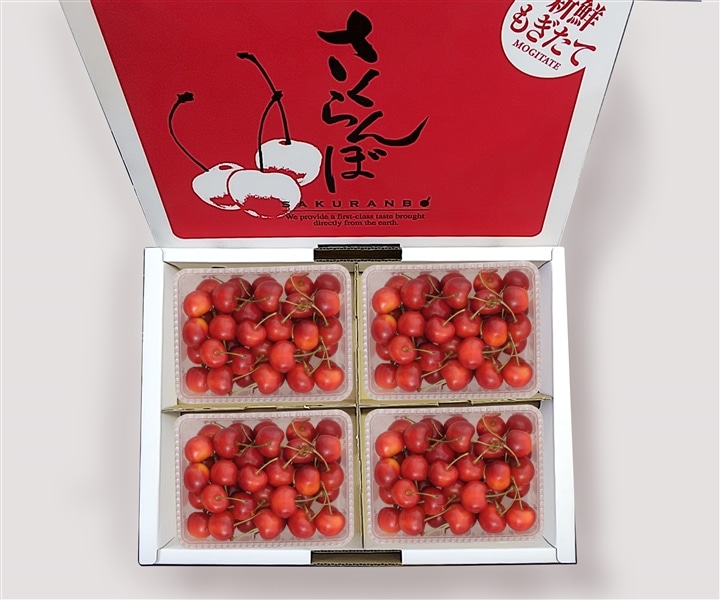 数量限定】大橋さくらんぼ園 紅秀峰パック詰め200g×4P《7月中旬～発送