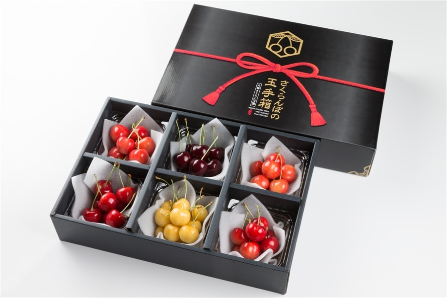 数量限定】大橋さくらんぼ園 玉手箱（盛夏）90g×6P《7月下旬～発送開始