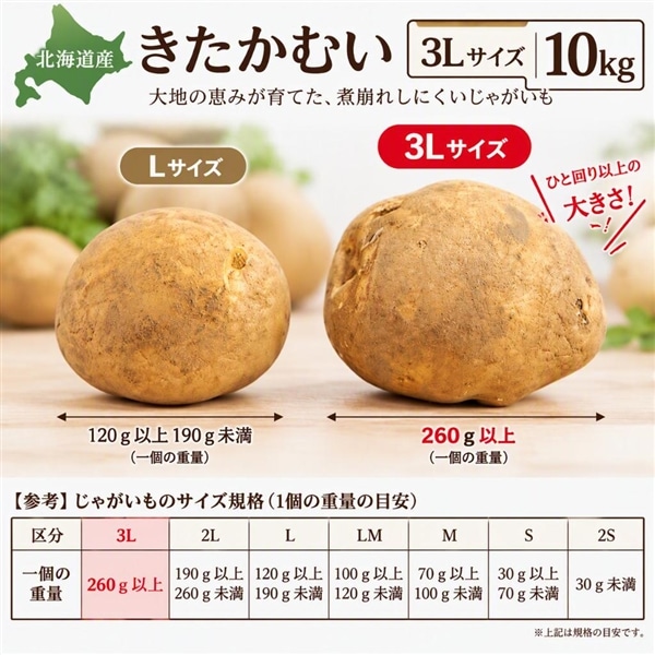 MEGAサイズ】北海道産きたかむい 3L・10kg《10月中旬～発送開始