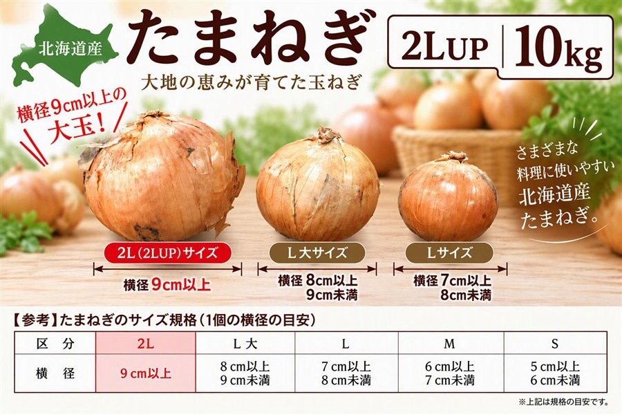 MEGAサイズ】北海道産玉ねぎ 2L以上約10kg《10月中旬～発送開始