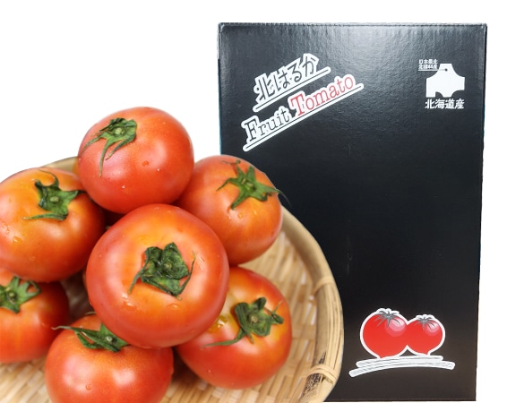 JA北はるか フルーツトマトはるかナイン12～15玉入り(約800g)《9月
