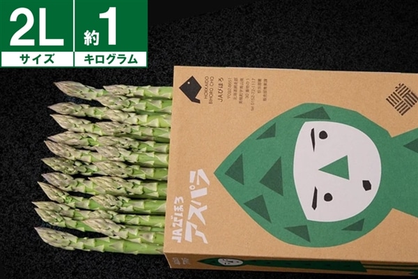 JAびほろ グリーンアスパラガス（夏芽）2Lサイズ 約1kg《7月上旬～発送