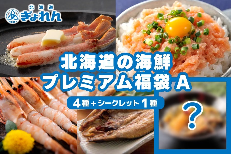 北海道の海鮮グルメ プレミアム福袋A《年明け発送・1月7日〜発送開始》
