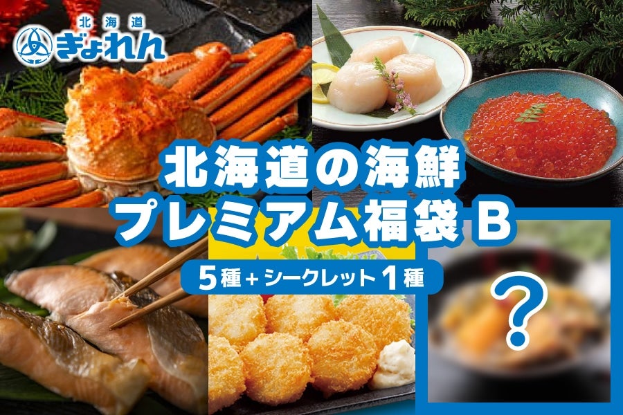 【数量限定】北海道の海鮮グルメ プレミアム福袋B《年内発送・12月3日〜12月26日発送》