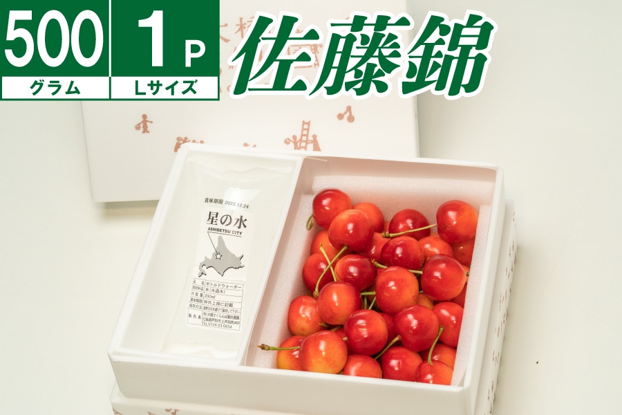 数量限定】大橋さくらんぼ園 佐藤錦バラ詰め500g《7月上旬～発送開始