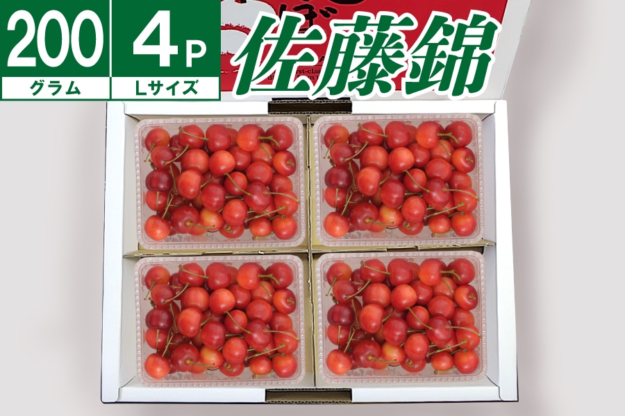 数量限定】大橋さくらんぼ園 佐藤錦パック詰め200g×4P《7月上旬～発送