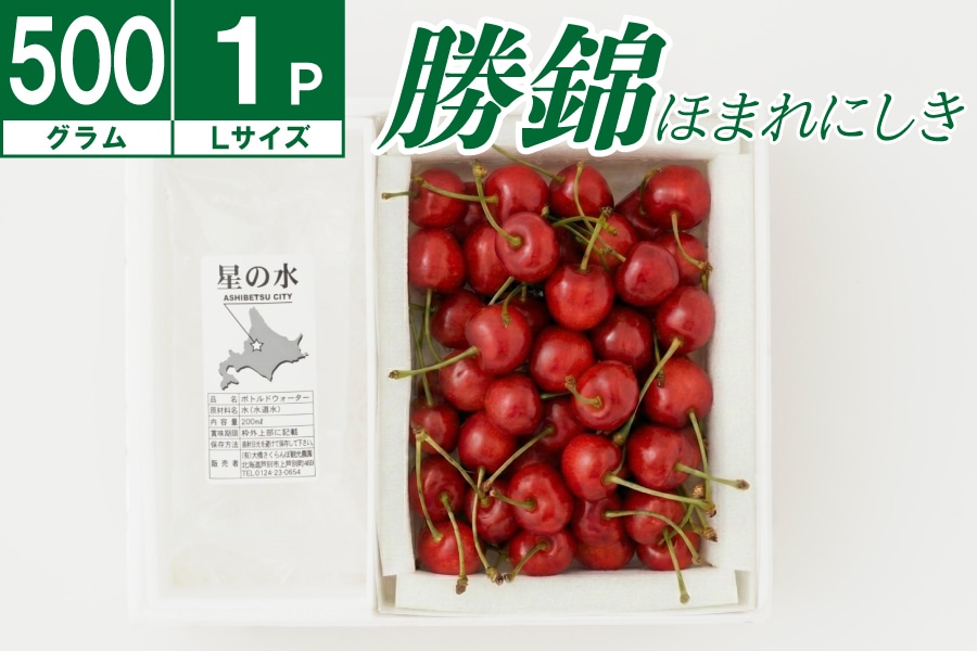 さくらんぼ農家直送】 勝錦（ほまれにしき）バラ詰め500g《8月上旬