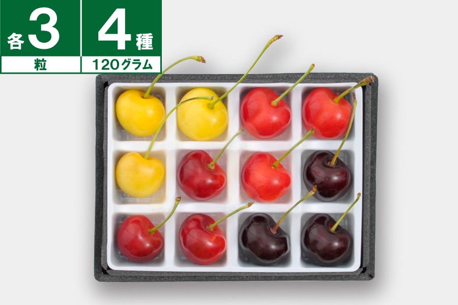 さくらんぼ農家直送】 4色スペシャル120g（12粒）《7月下旬～発送開始