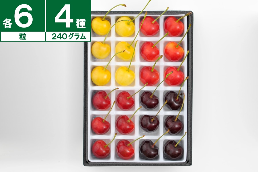数量限定】大橋さくらんぼ園 4色スペシャル240g（24粒）《7月下旬