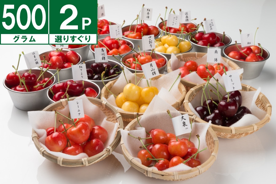 数量限定】大橋さくらんぼ園 選りすぐり詰合せ500g×2《7月中旬～発送
