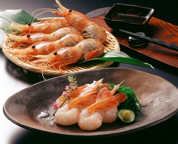 ※画像はイメージです