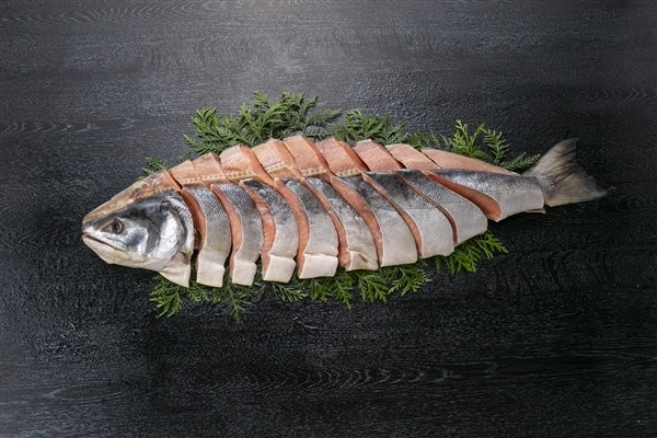 ※画像はイメージです