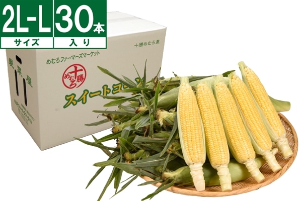 十勝めむろ産イエローコーン L～2L 30本《8月上旬～発送開始